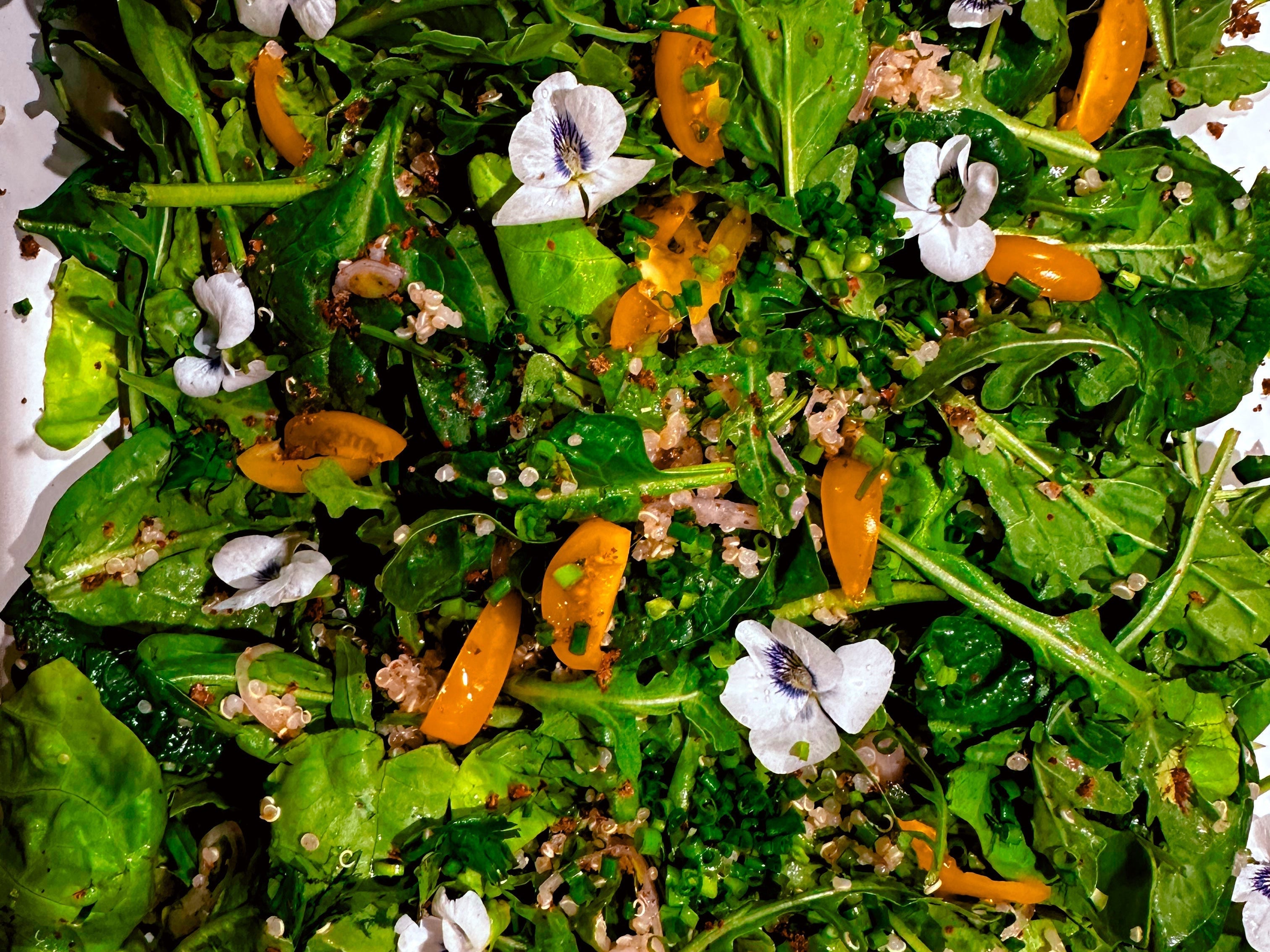 
  
  Violet Quinoa Salad
  
