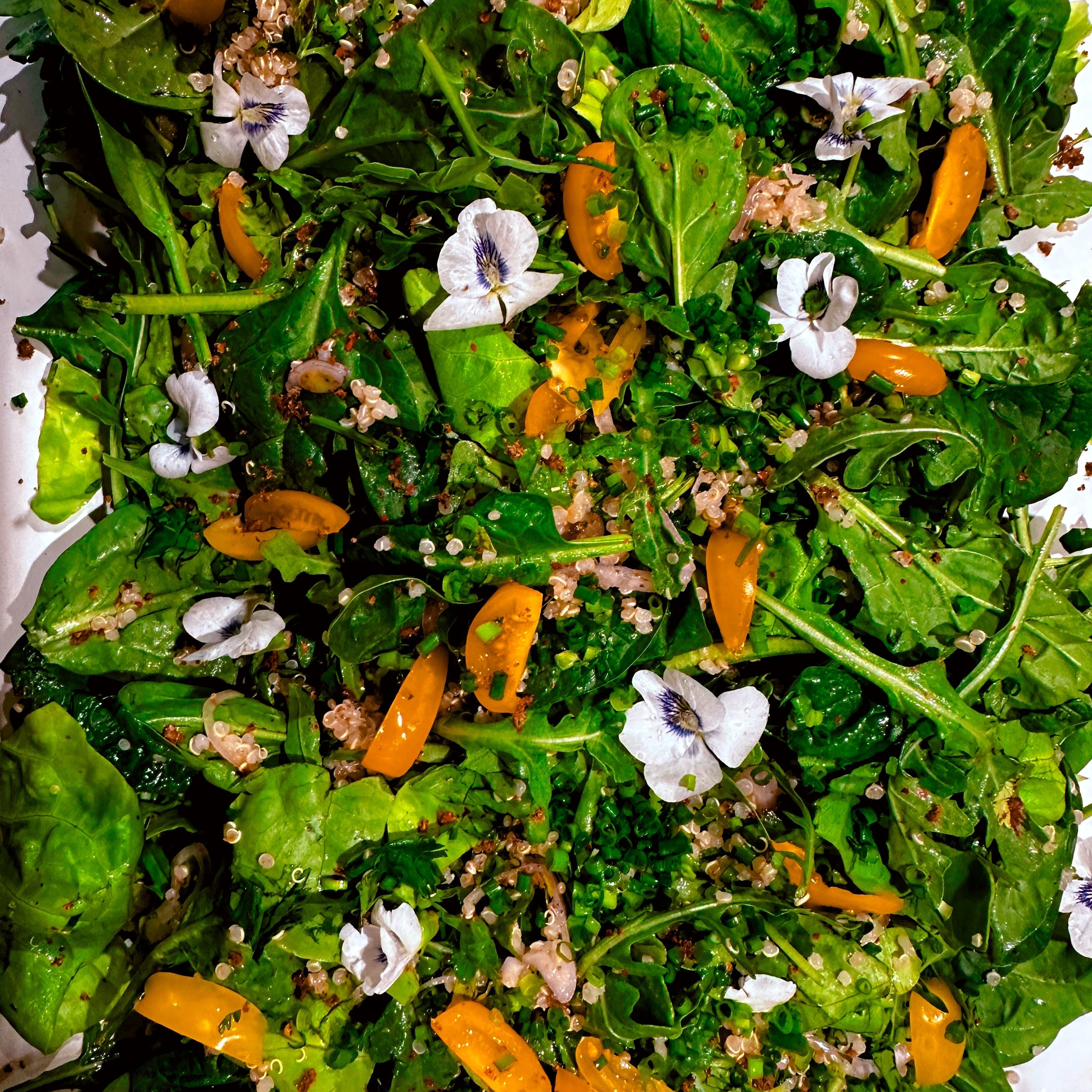 
  
  Violet Quinoa Salad
  
