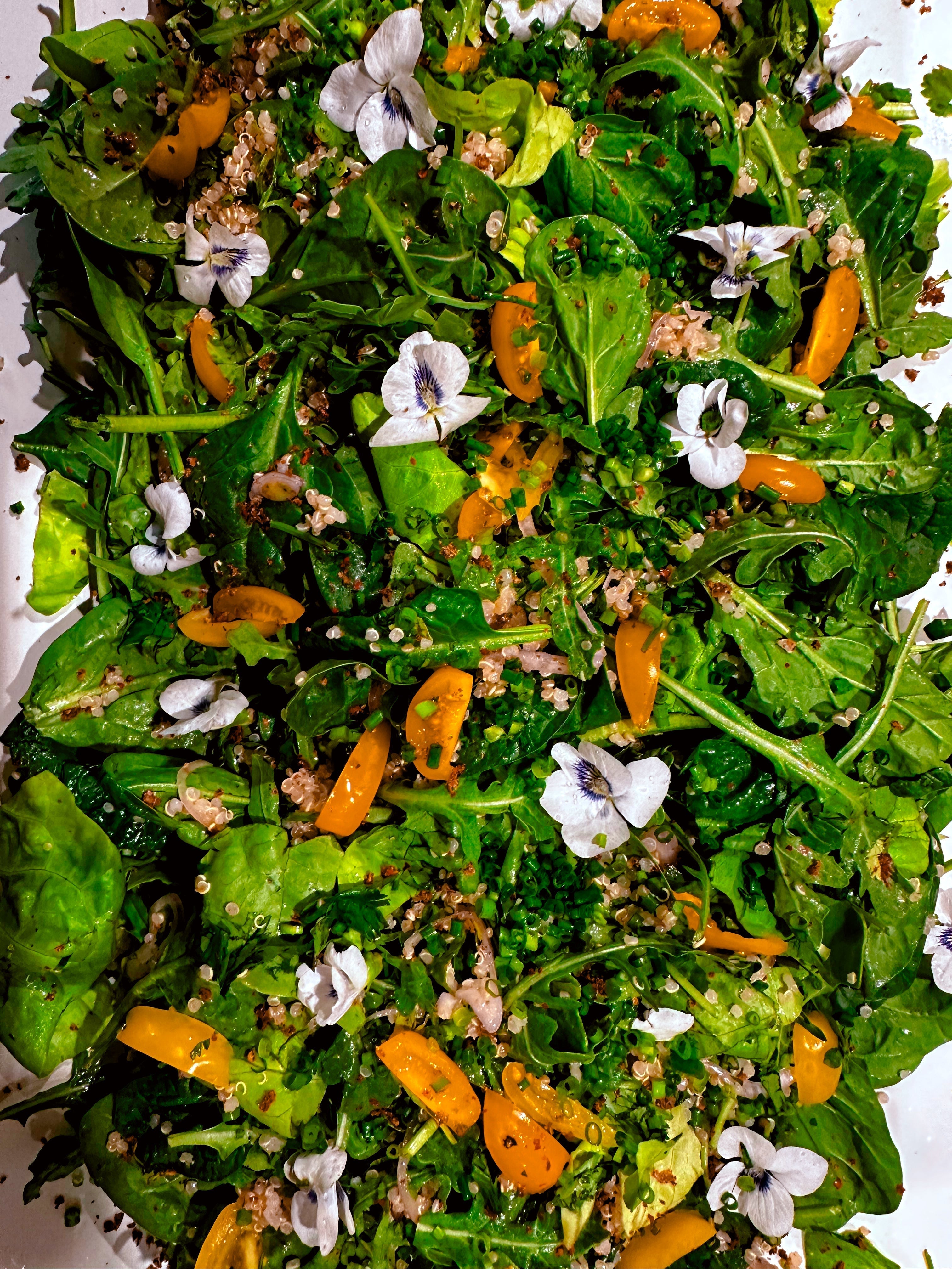 Violet Quinoa Salad