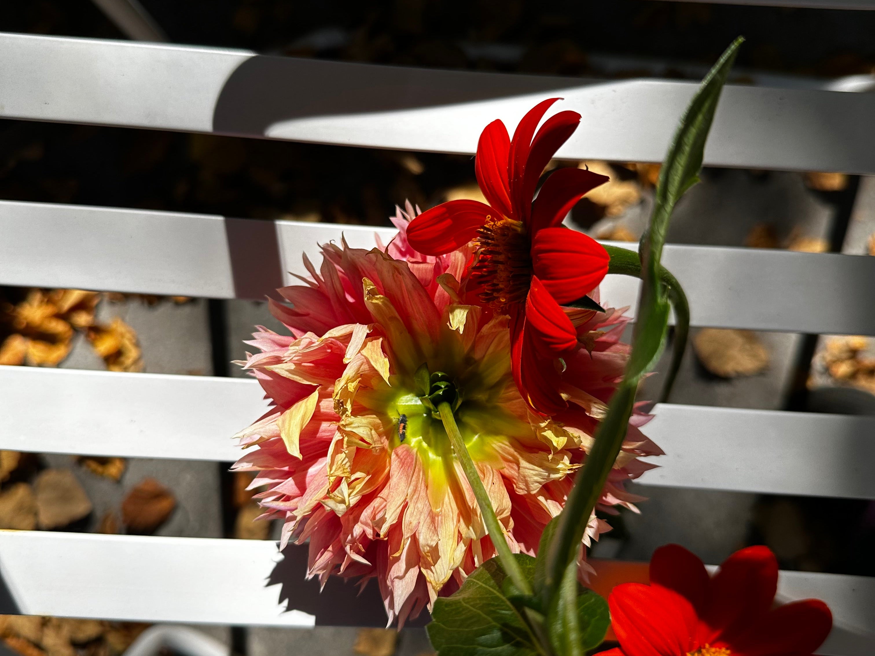 
  
  Don’t tell me how to feel
  
