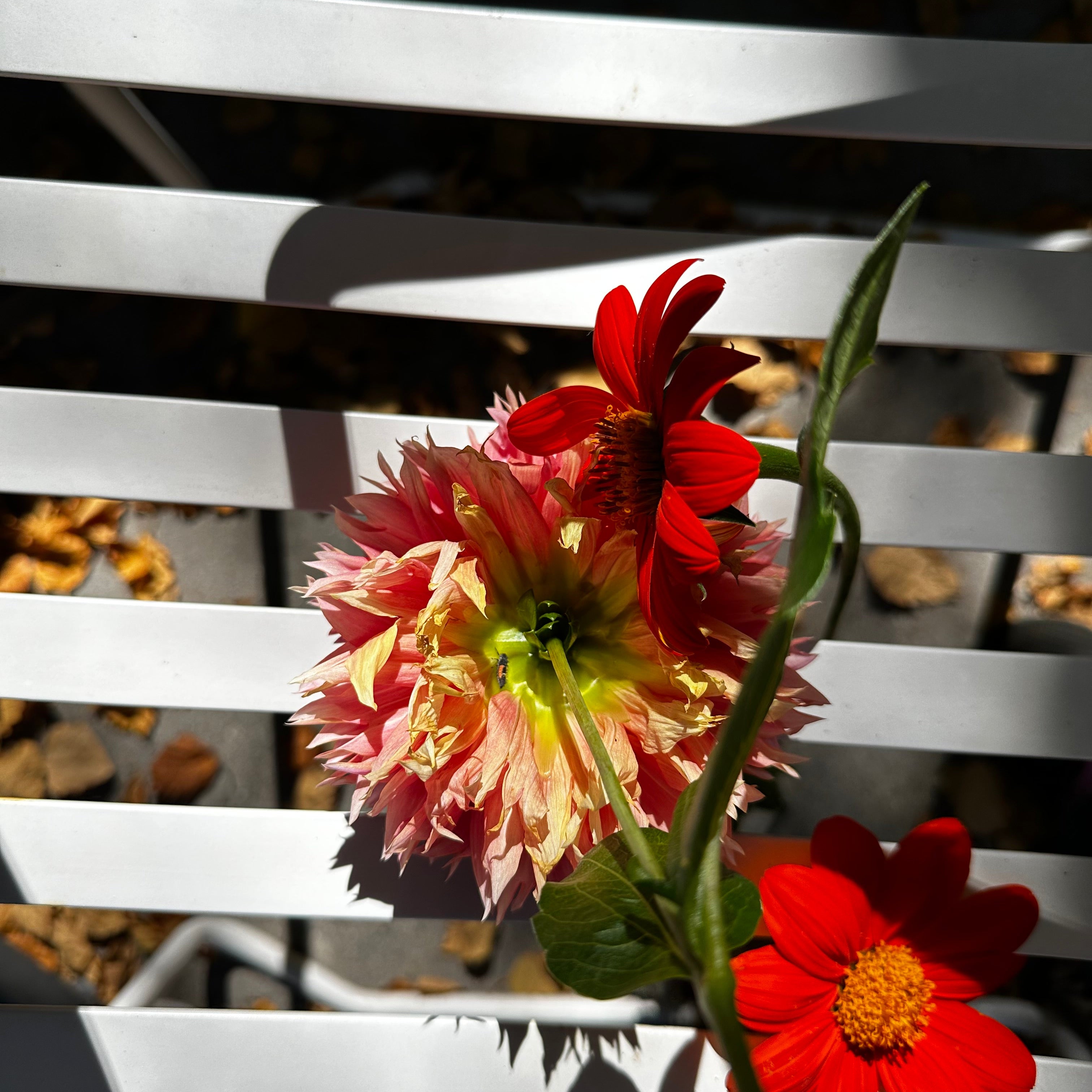 
  
  Don’t tell me how to feel
  
