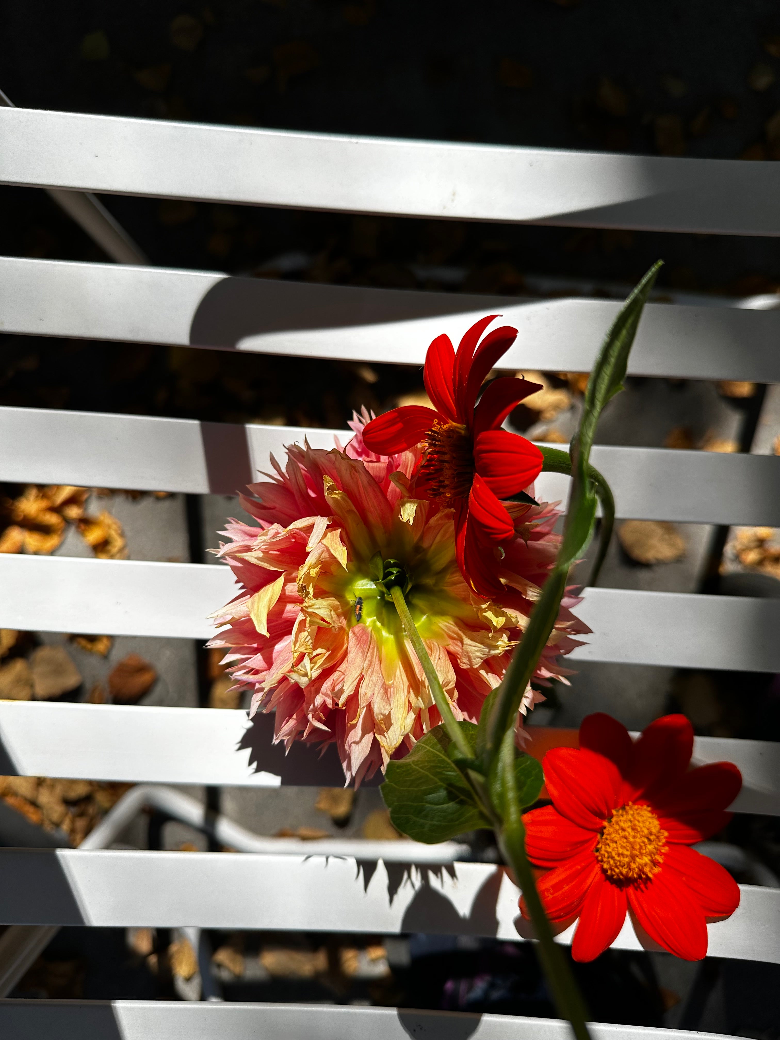 Don’t tell me how to feel