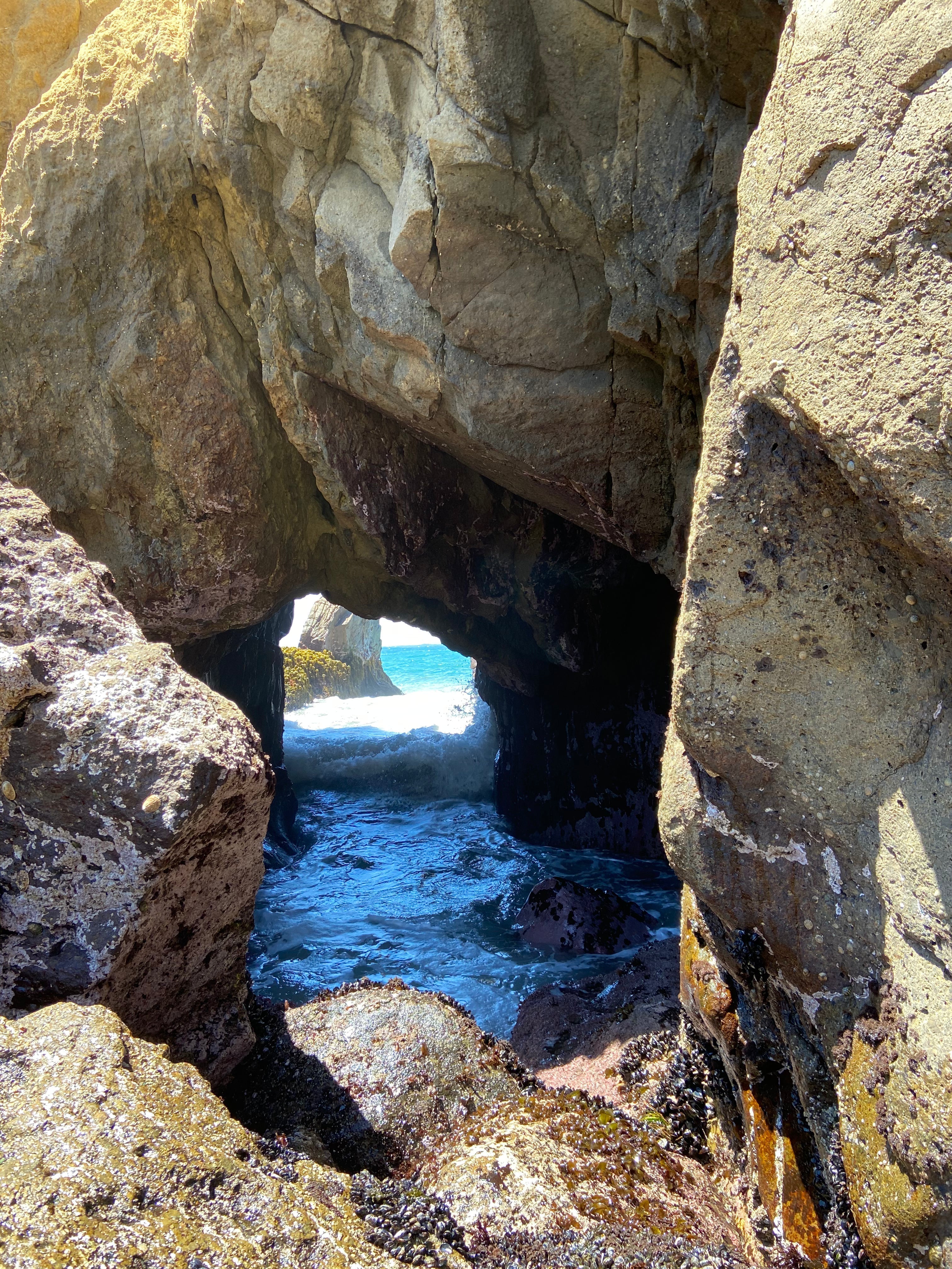 Tidepool