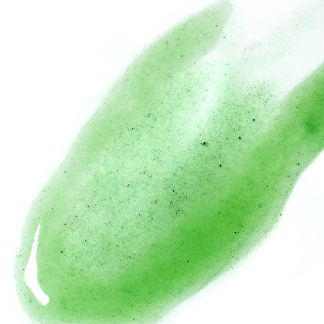 
  
  Swatch of Ere Perez Quandong Green Booster Serum
  
