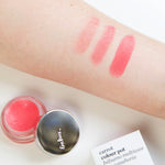 
  
  Ere Perez Carrot Colour Pot Humble
  
