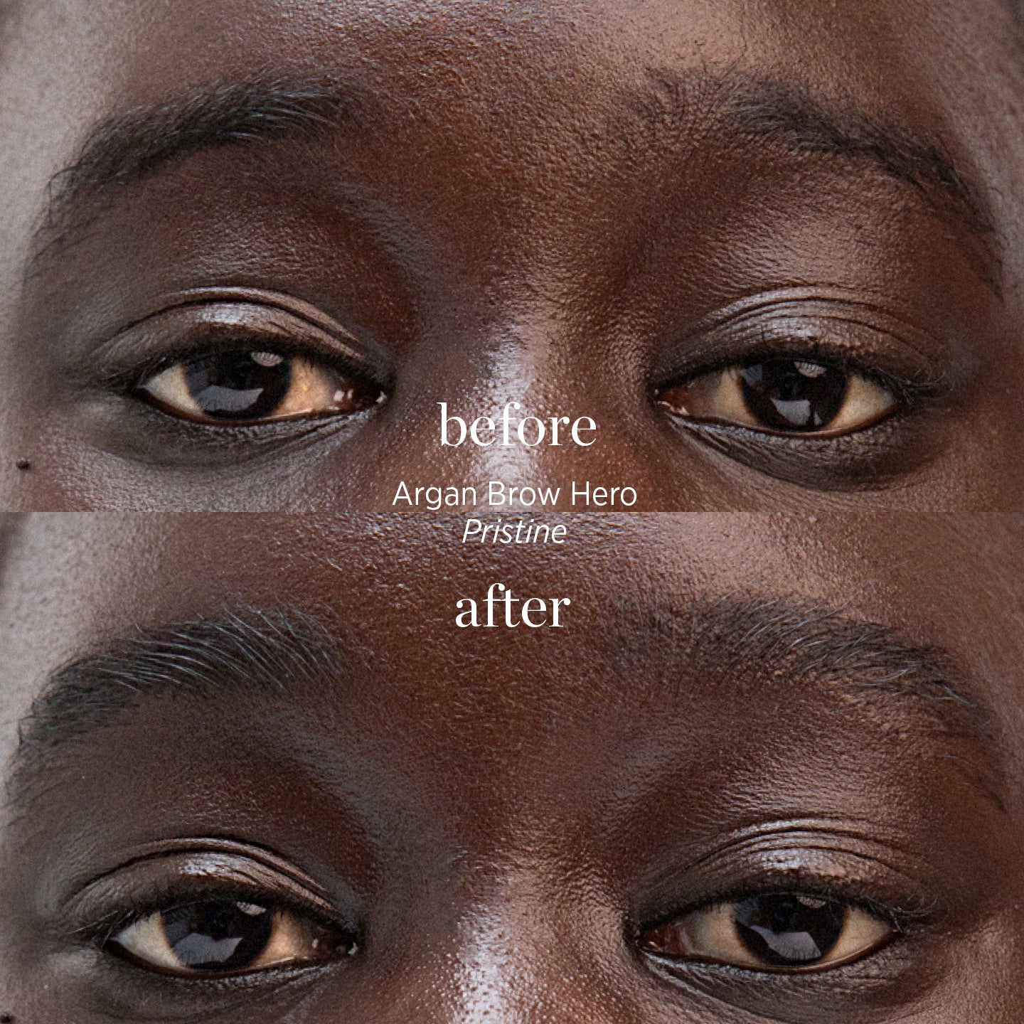 
  
  Ere Perez Argan Brow Hero Pristine
  
